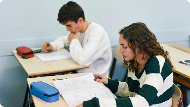 Préparation aux examens / concours à Alès